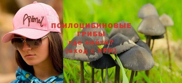 тгк Ельня