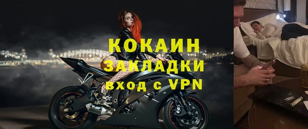 тгк Ельня