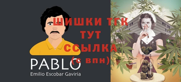 тгк Ельня