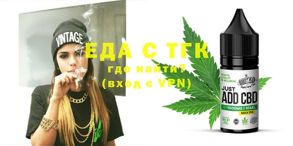 тгк Ельня