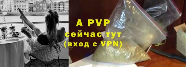 хмурый Елизово