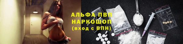 хмурый Елизово