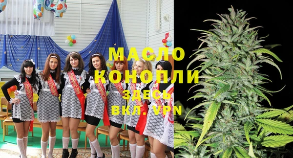 тгк Ельня