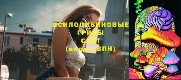 хмурый Елизово