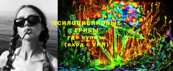 тгк Ельня