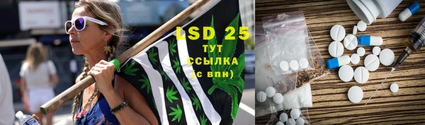 тгк Ельня